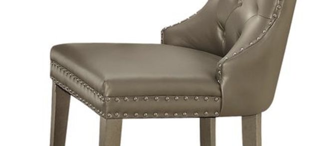 Kacela Synthetic Leather Side Chair Set of 2 - Champagne