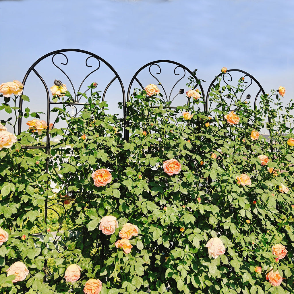4 Pack Metal Garden Trellis 86.7'' x 19.7'' Rustproof Black
