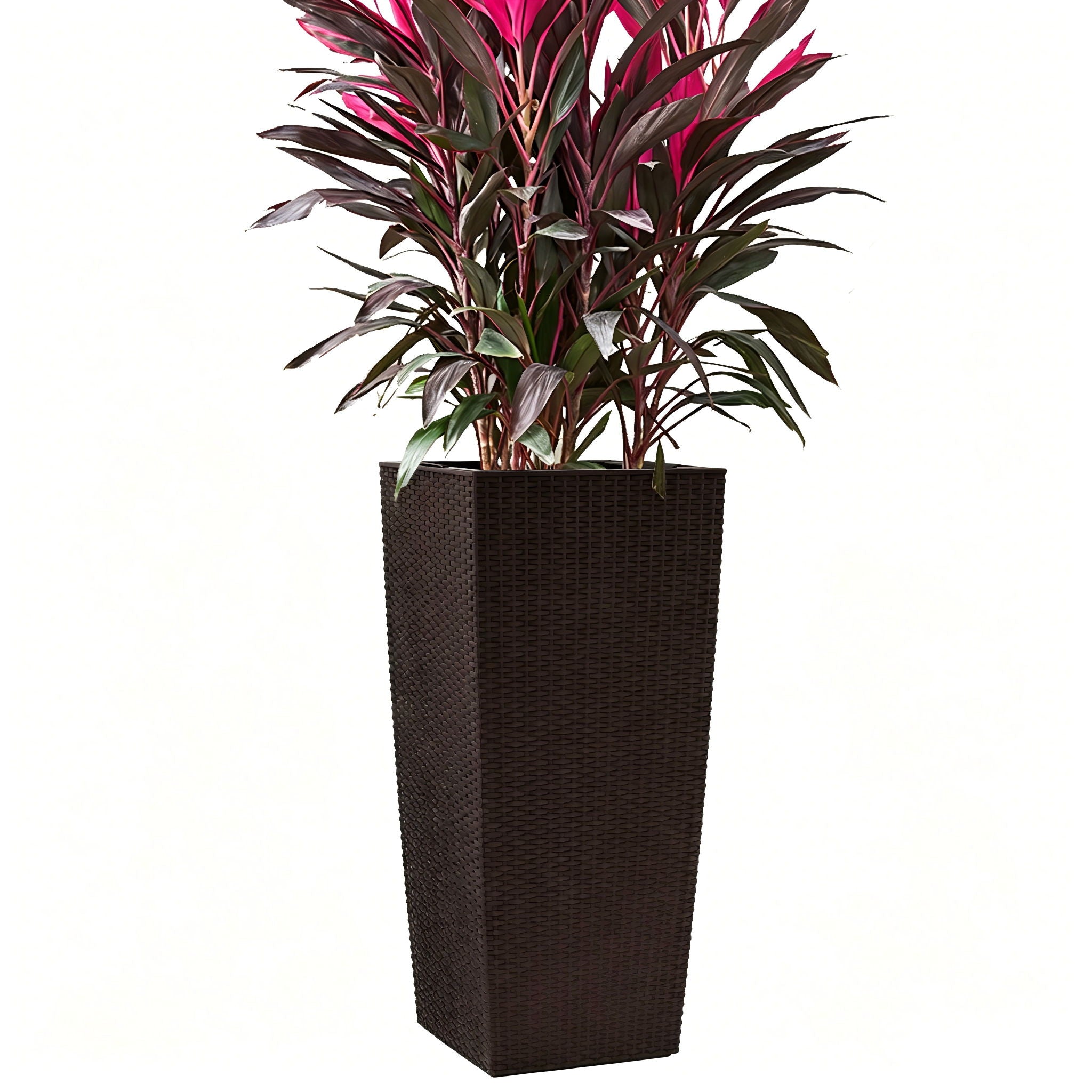 Indoor Outdoor Planter With Automatic Watering System