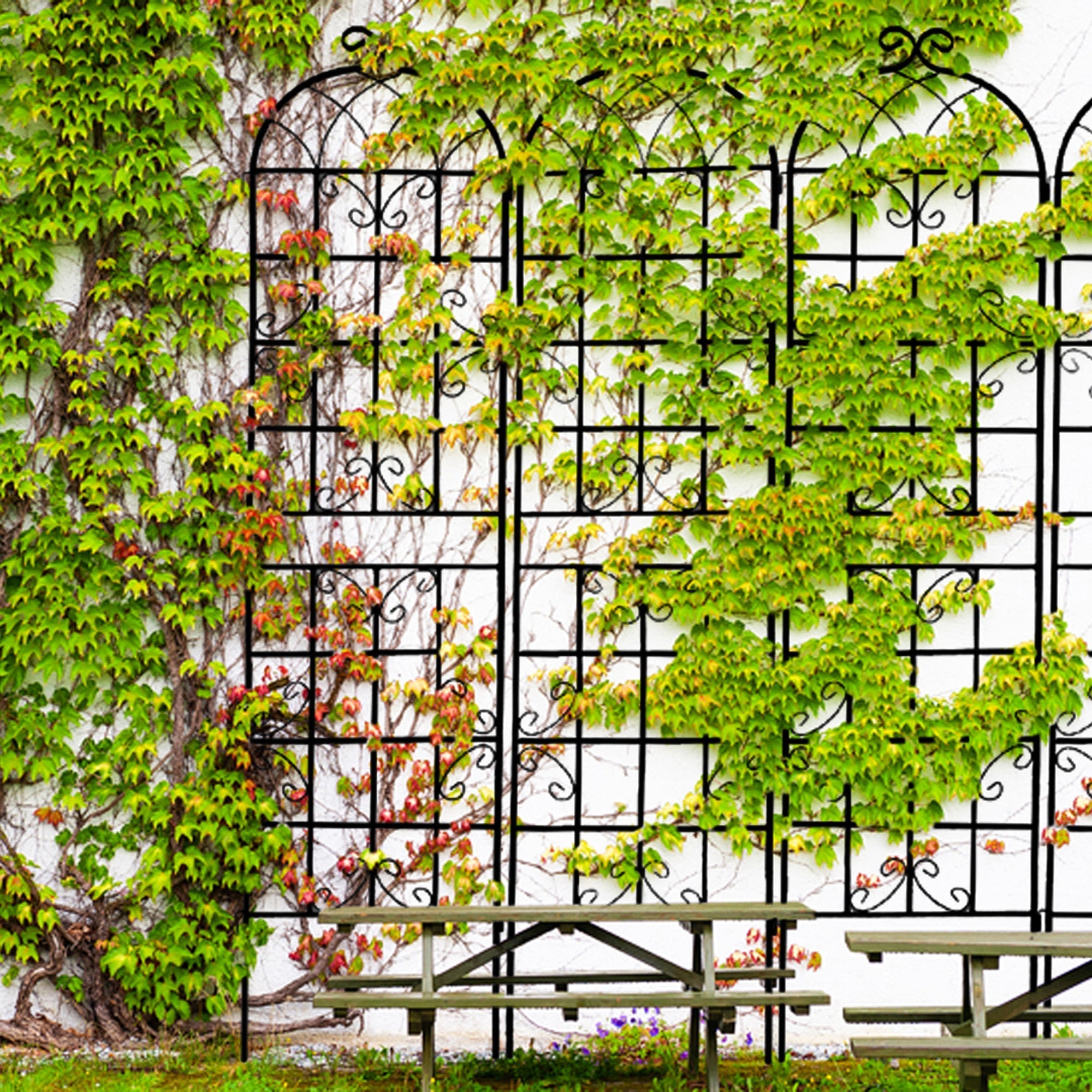 Metal Garden Trellis 4 Pack Rustproof Climbing Plant Supports