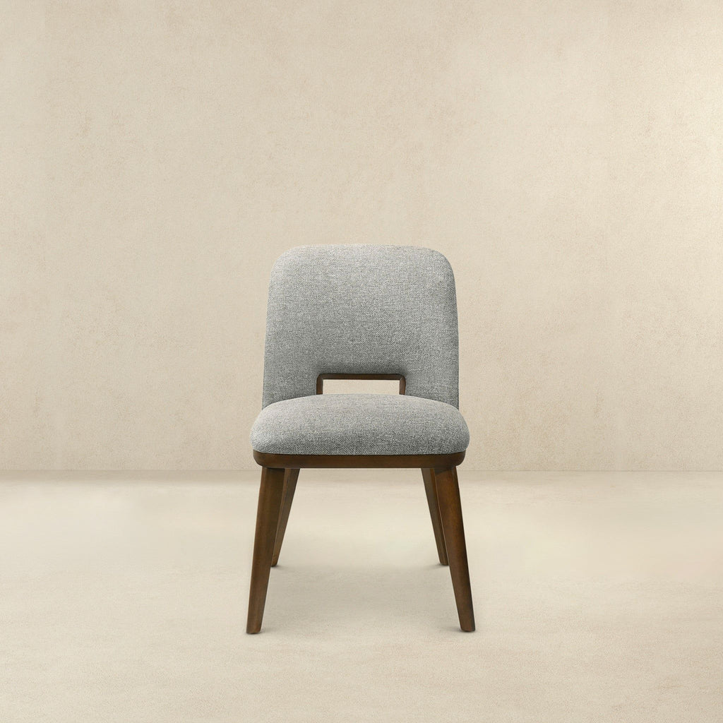 Blake - Modern Dining Chair (Set of 2)