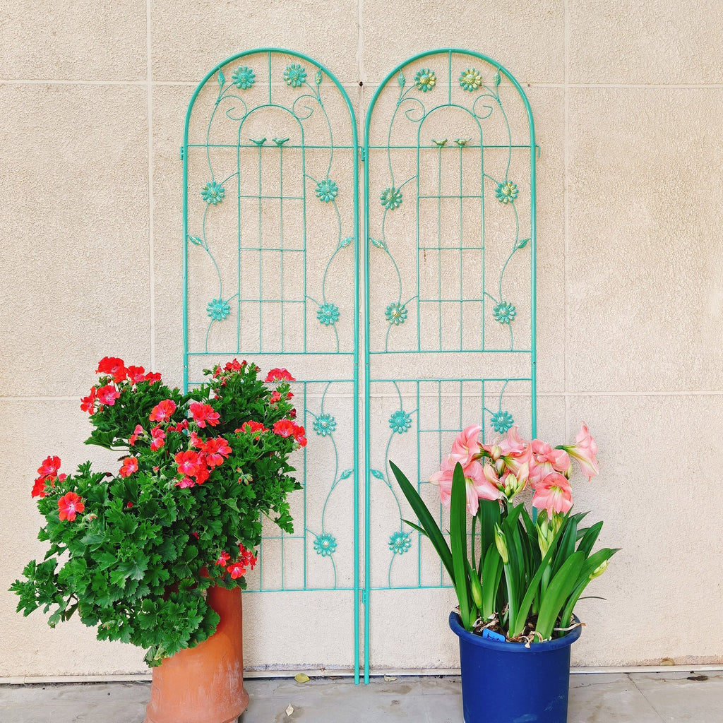 4 Pack Metal Garden Trellis 71" x 19.7" Rustproof Support