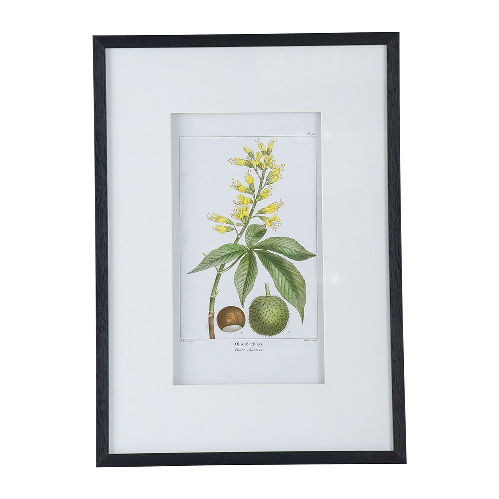 19.7x27.6 Botanical Wall Arts, Set of 2