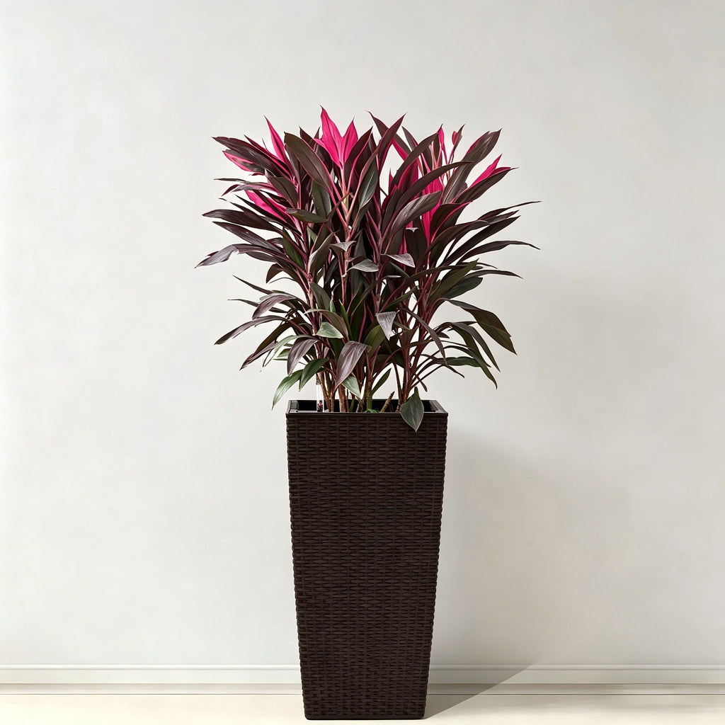 Indoor Outdoor Planter With Automatic Watering System
