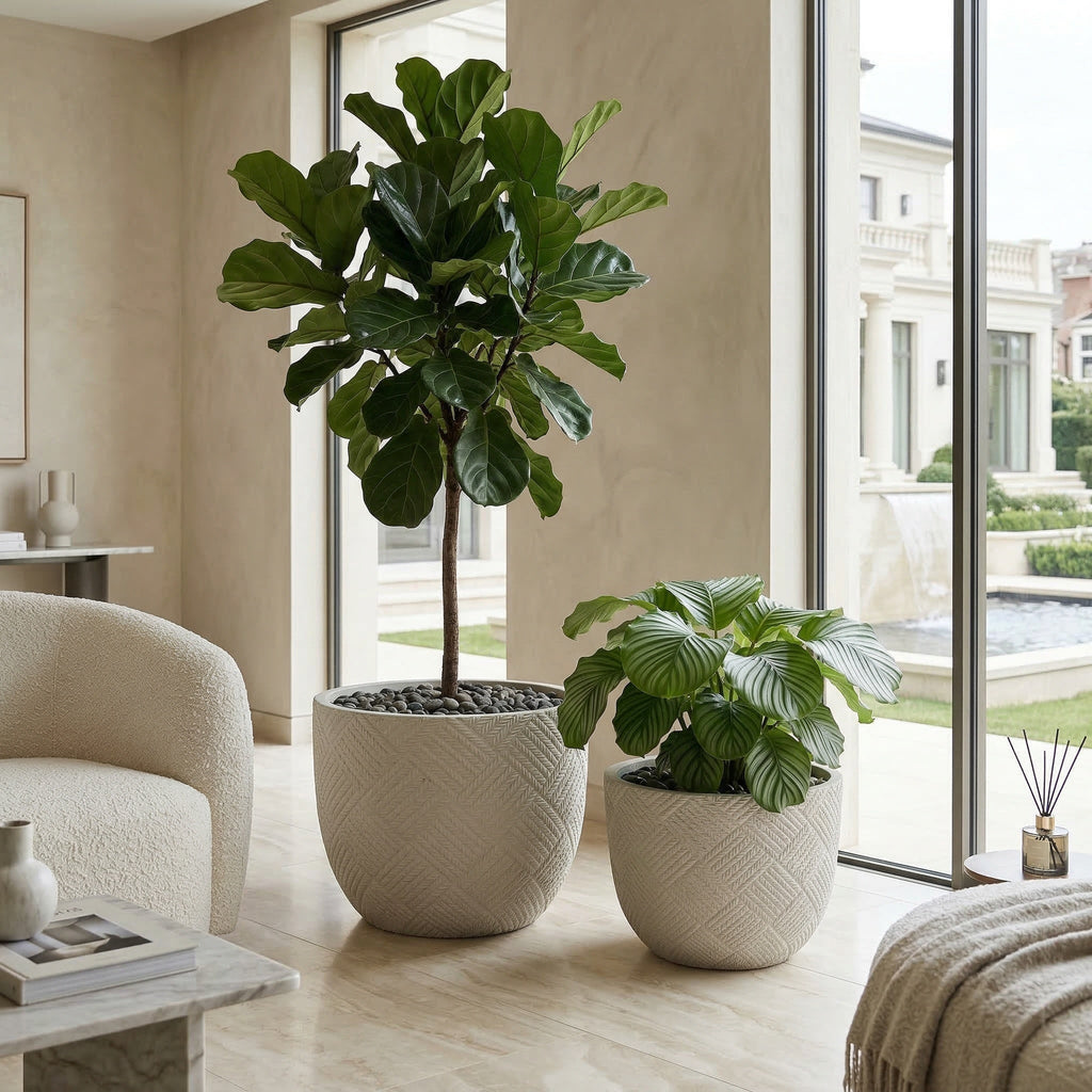 Round Concrete Planter Set of 2