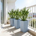 Plants Box Set of 3 Tall Planters