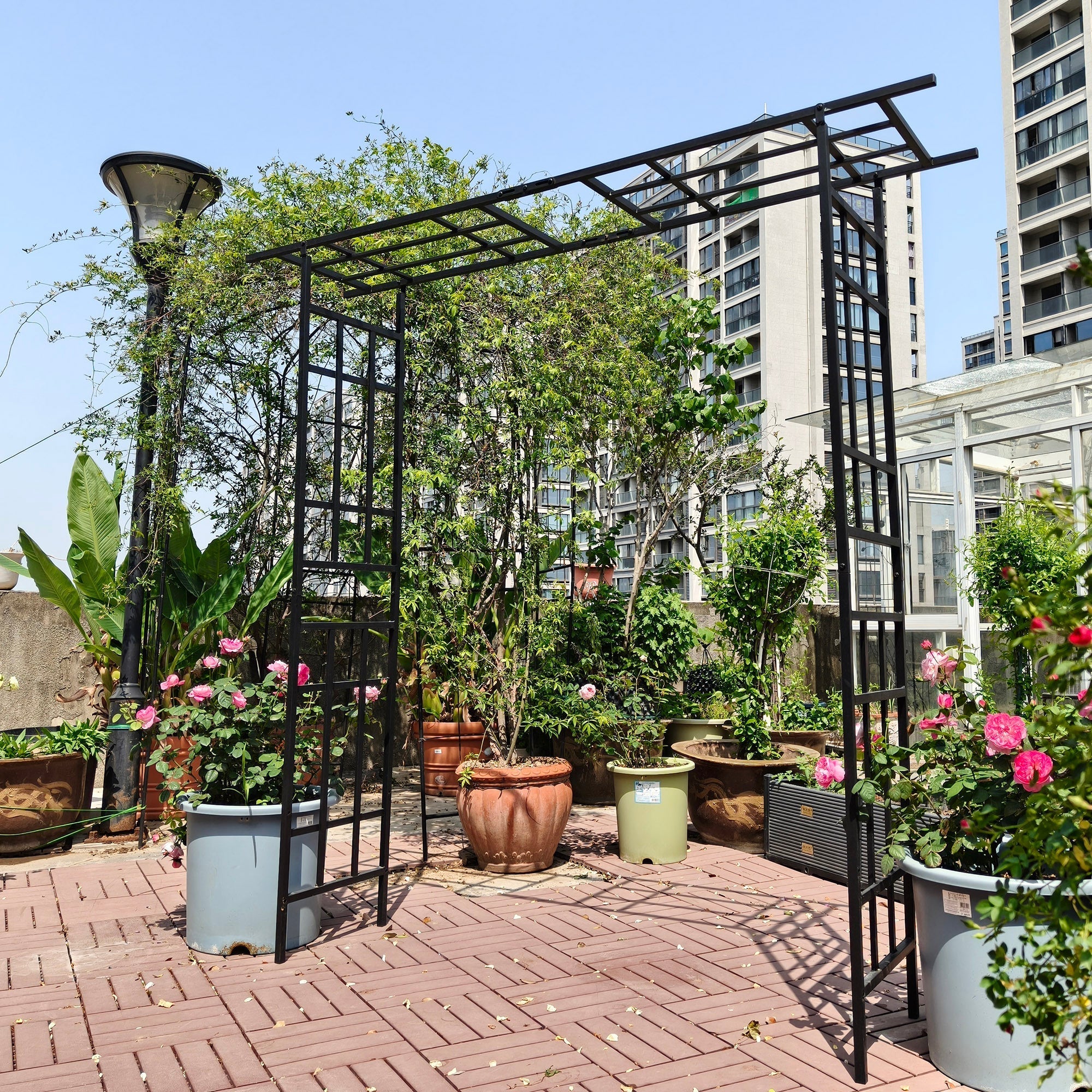 Metal Garden Arch with Adjustable Width for Climbing Plants