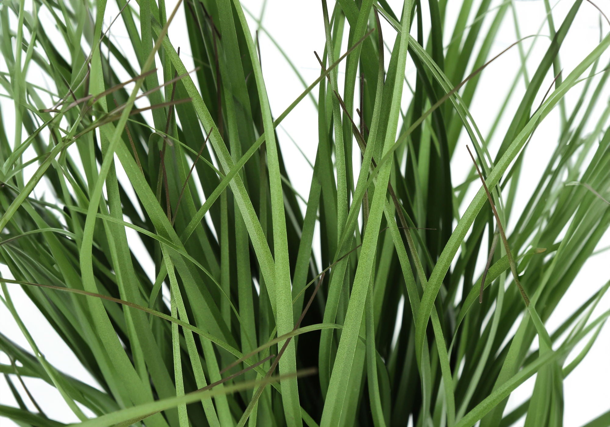 23" Tall Artificial Grass Plant – Indoor Faux Table Decor