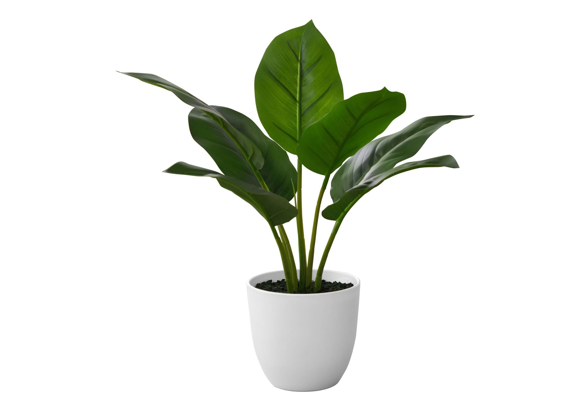 17" Tall Aureum Artificial Indoor Plant in White Pot