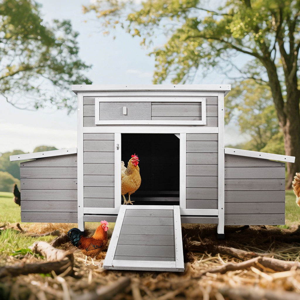 Large Chicken Coop Outdoor Hen House & Dual Nesting Boxes