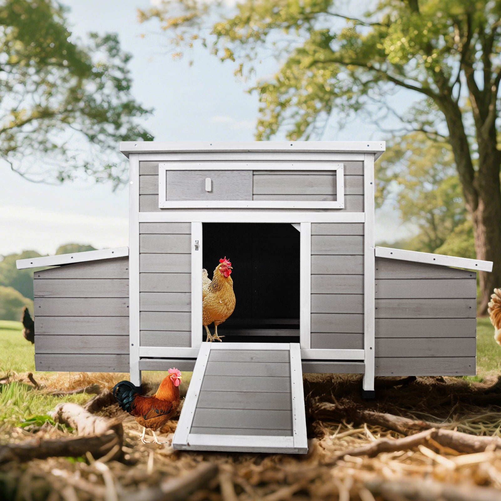 Large Chicken Coop Outdoor Hen House & Dual Nesting Boxes