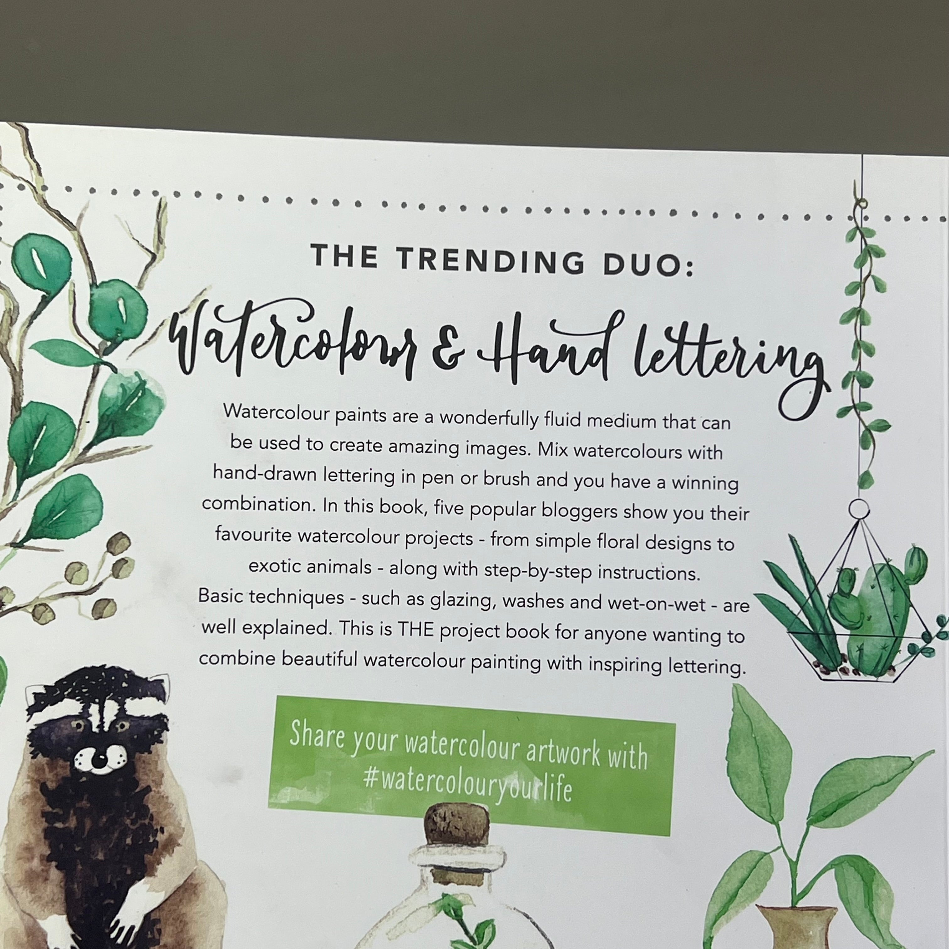 WATERCOLOR MEETS HANDLETTERING A Book Of Blogger Projects Paperback Book