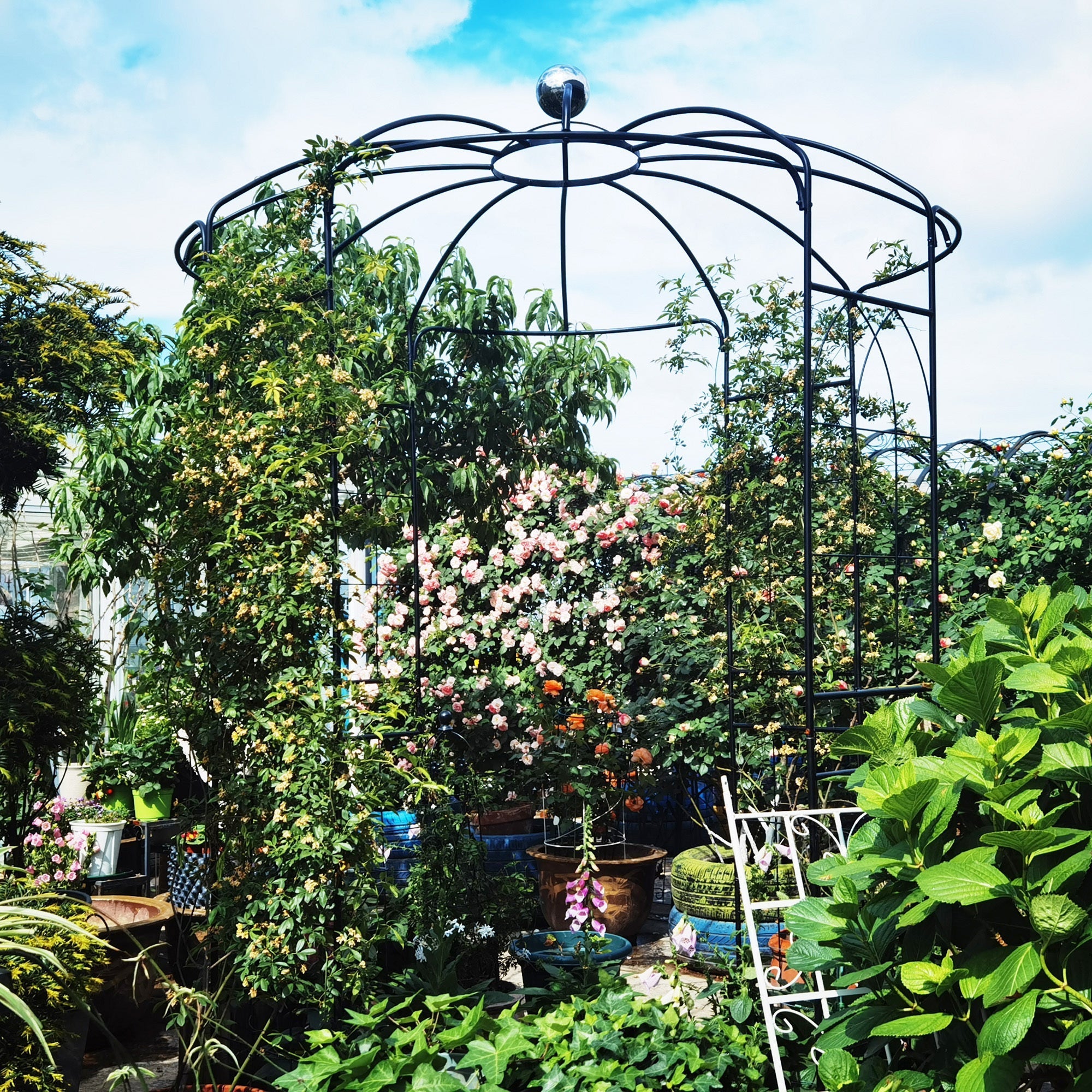 Metal Garden Arch Iron Pergola