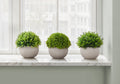 5" Tall Artificial Plant Grass - Set of 3