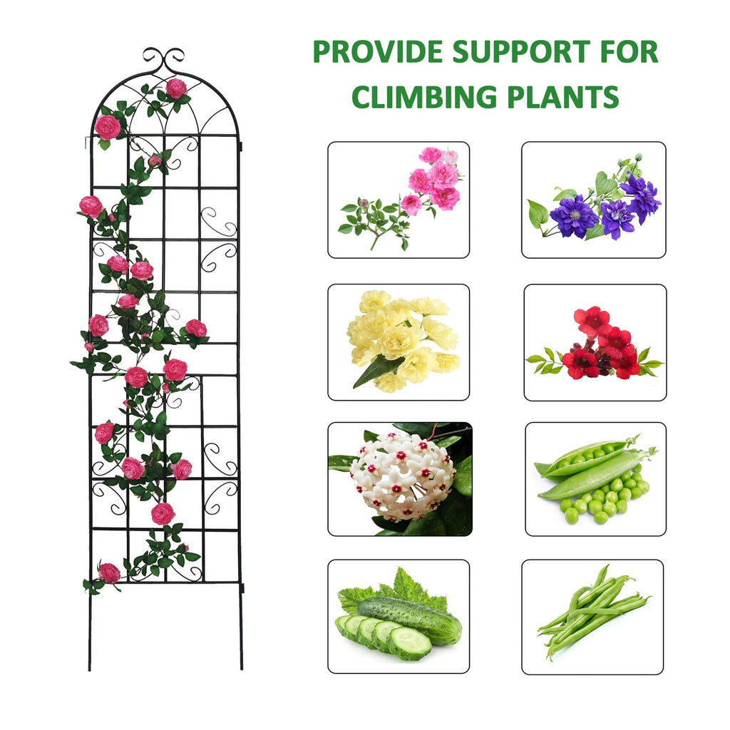 Metal Garden Trellis 4 Pack Rustproof Climbing Plant Supports