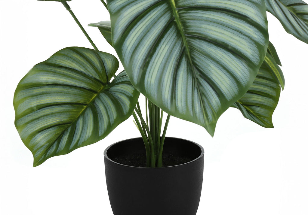 24" Tall Artificial Calathea Plant