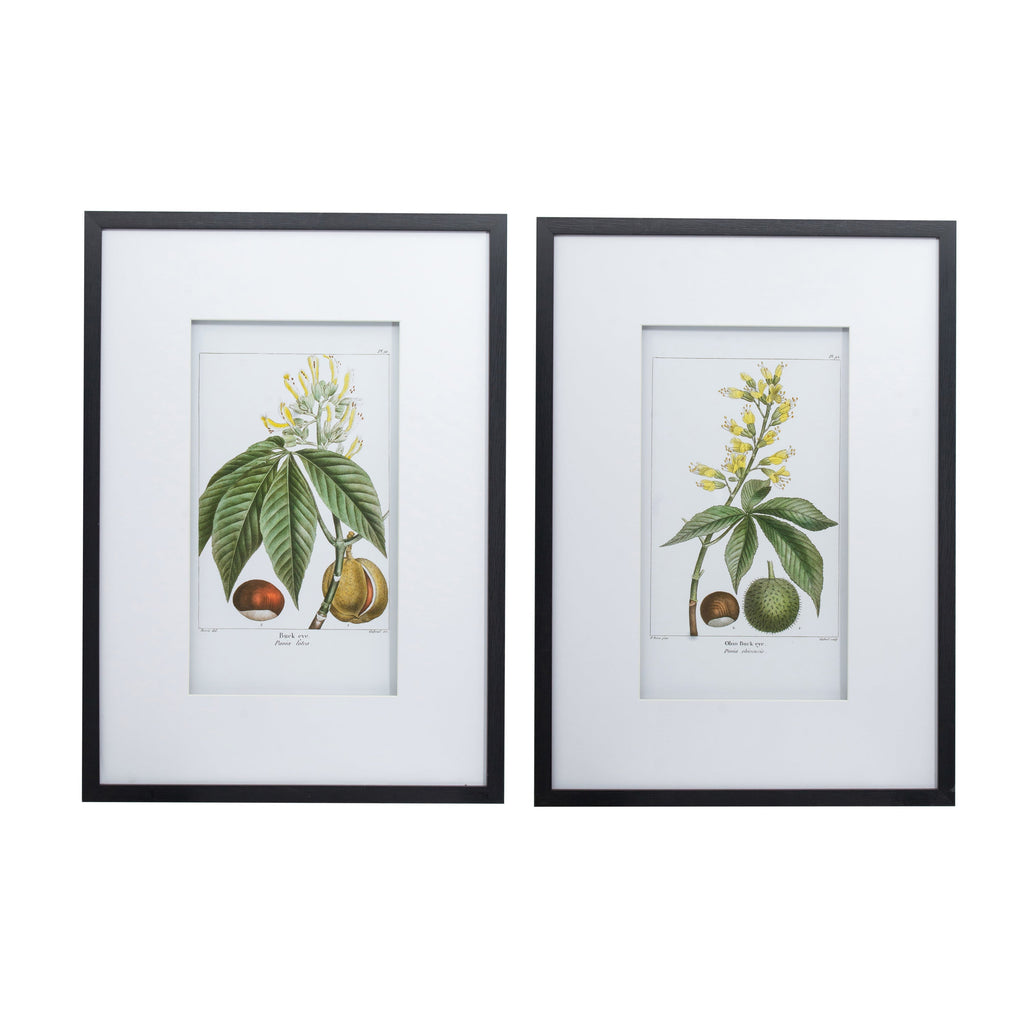 19.7x27.6 Botanical Wall Arts, Set of 2