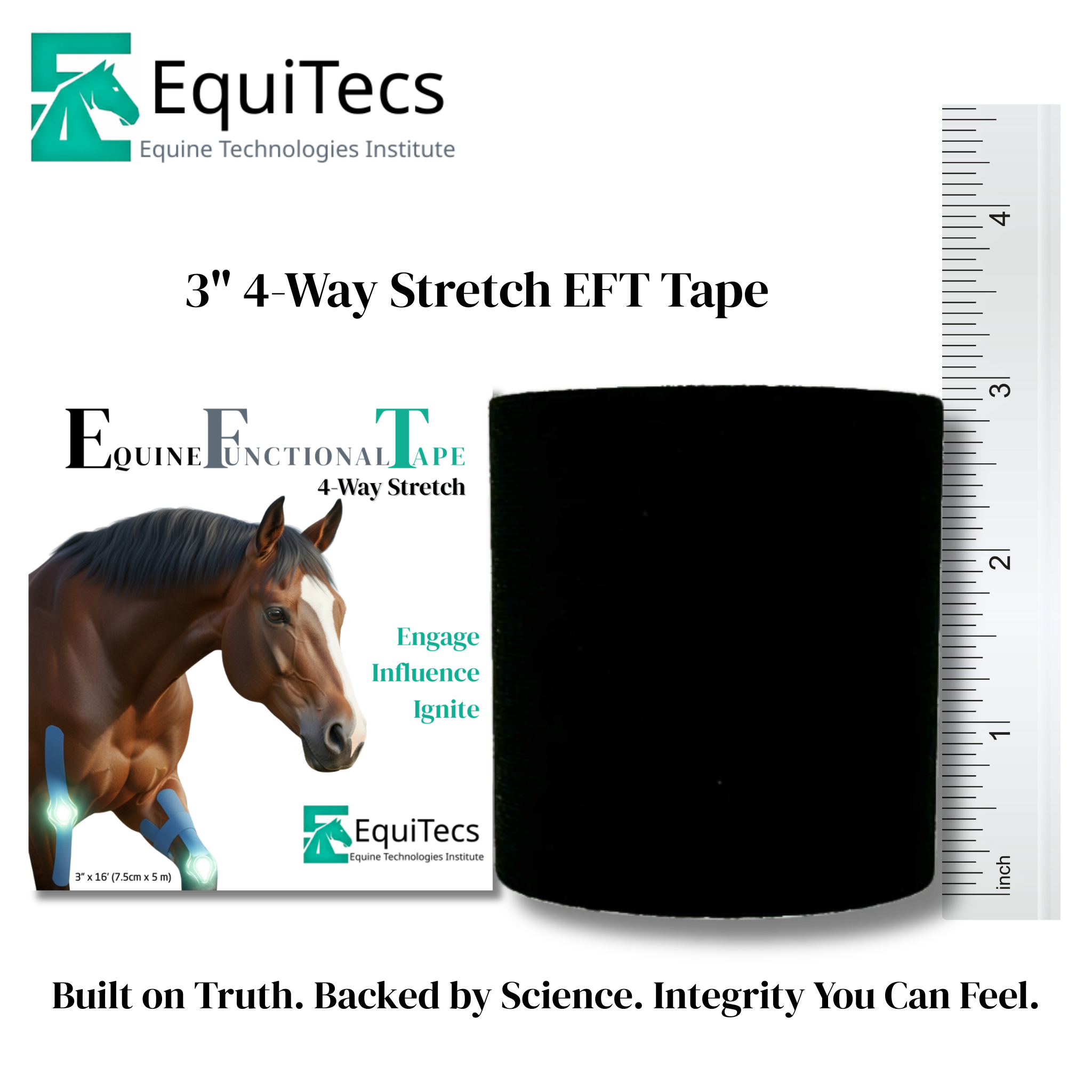 Horse 4-Way Functional Taping Tape — Biomechanic Support