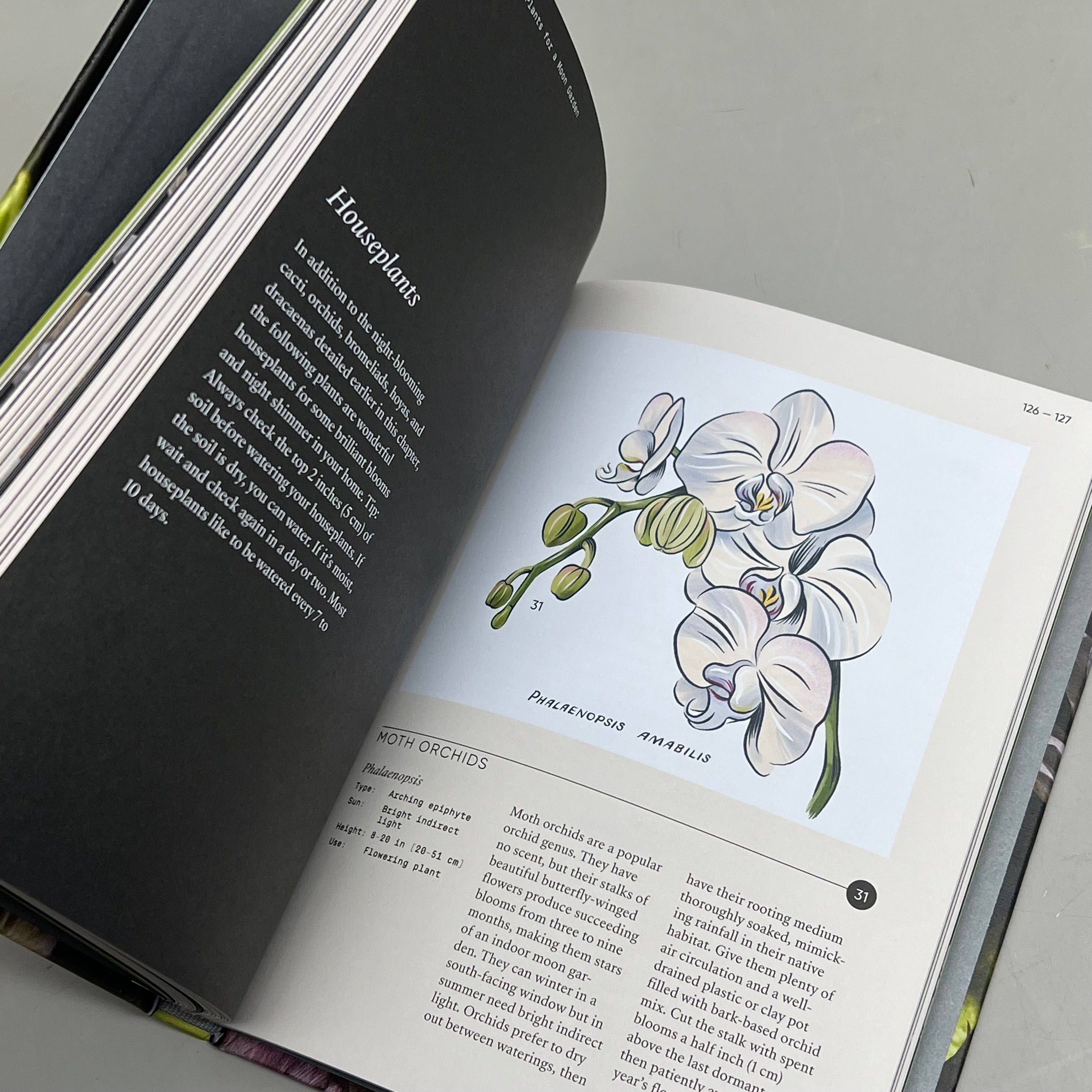 MOON GARDEN By Jarema Osofky Guide To Creating An Evening Oasis Hardcover Book