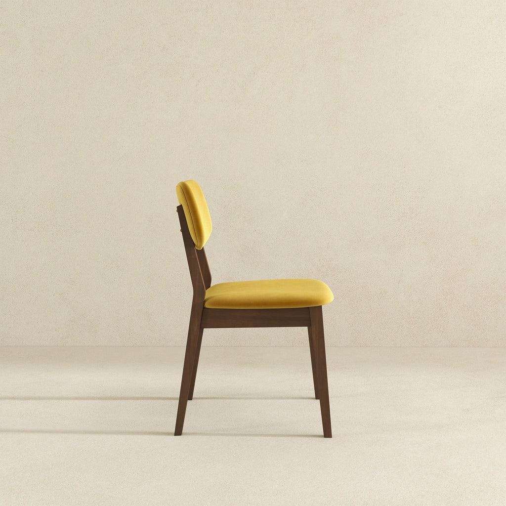 Carlos - Solid Back Side Chair (Set of 2)