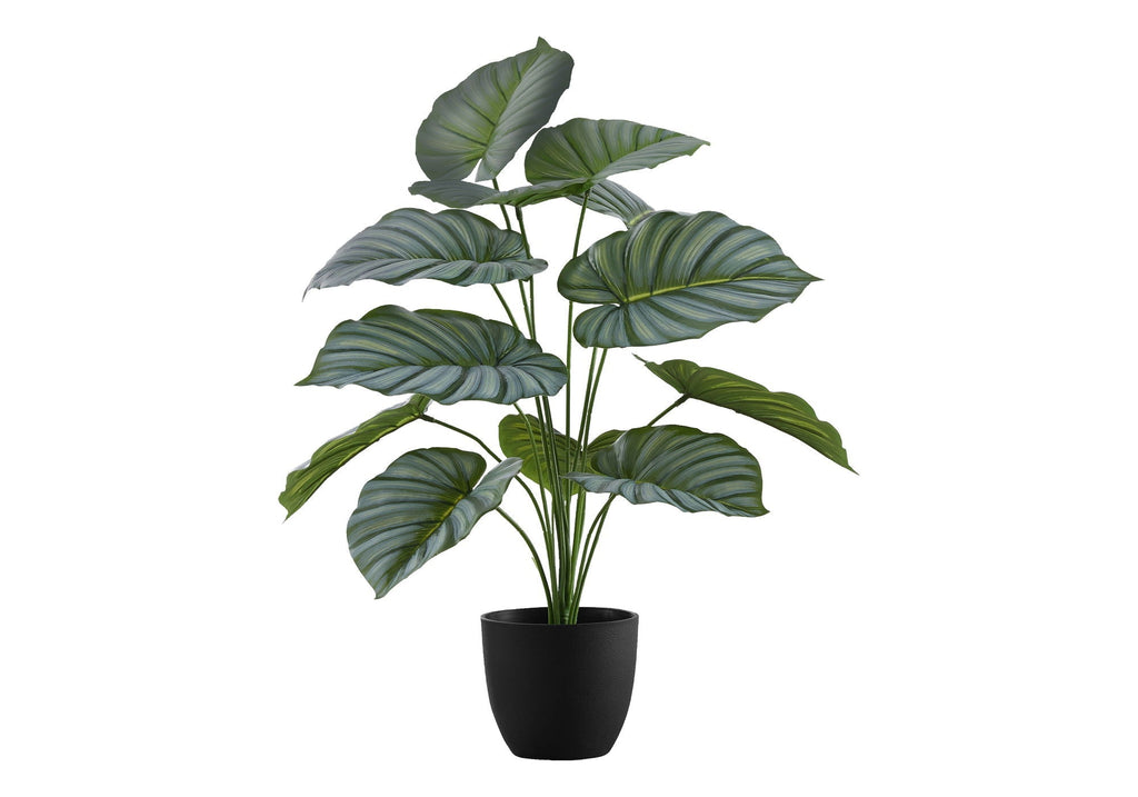 24" Tall Artificial Calathea Plant