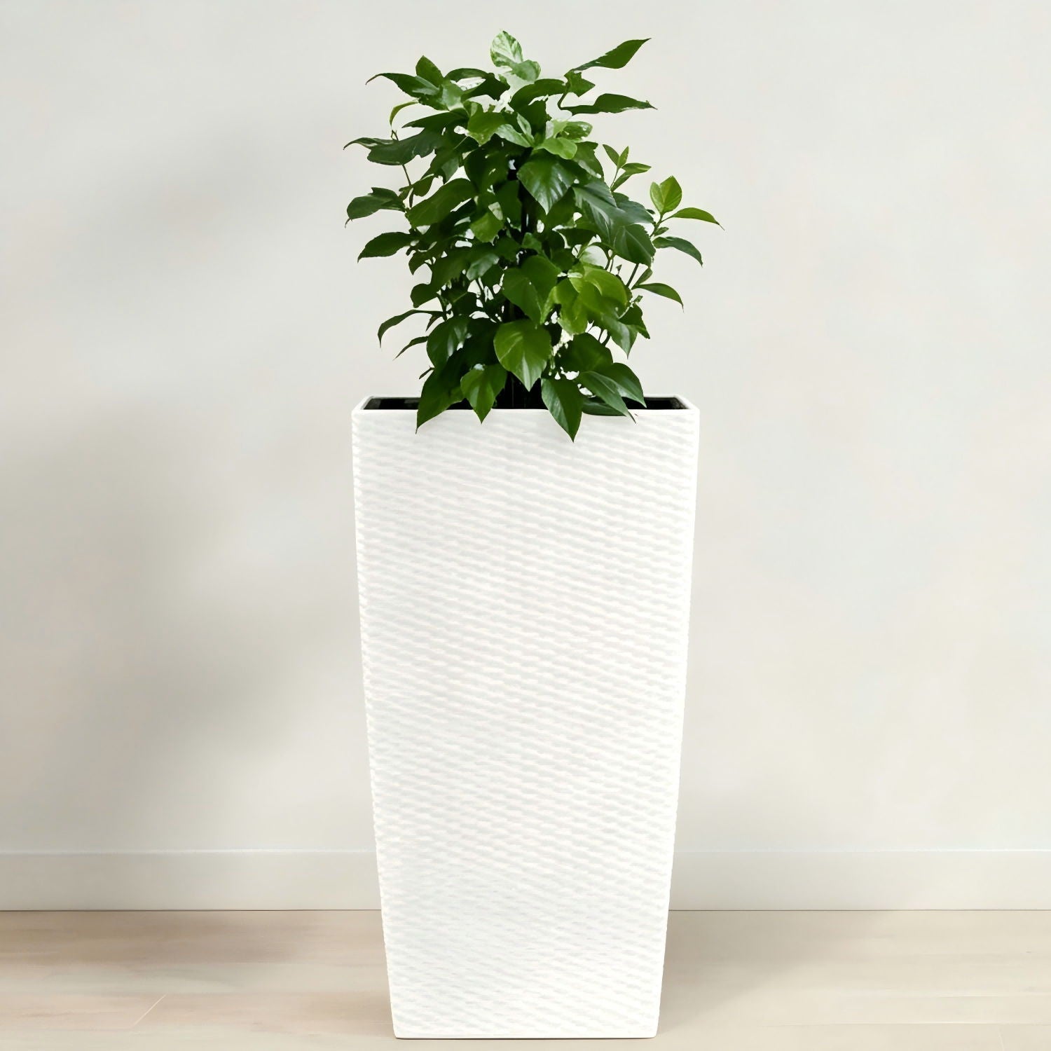 Indoor Outdoor Planter With Automatic Watering System