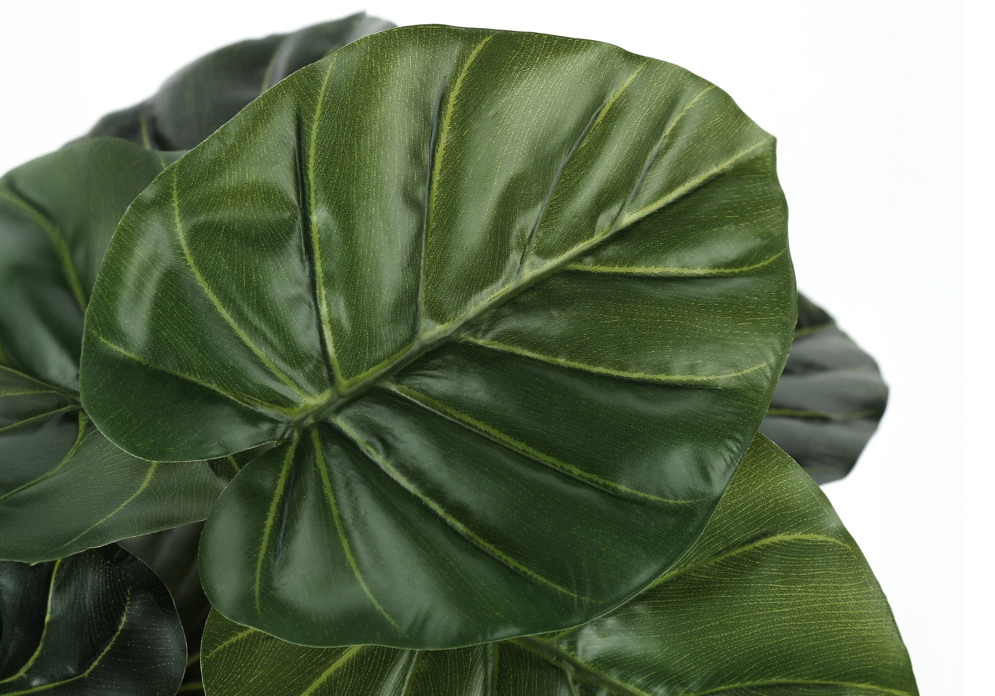 24" Tall Artificial Alocasia Plant