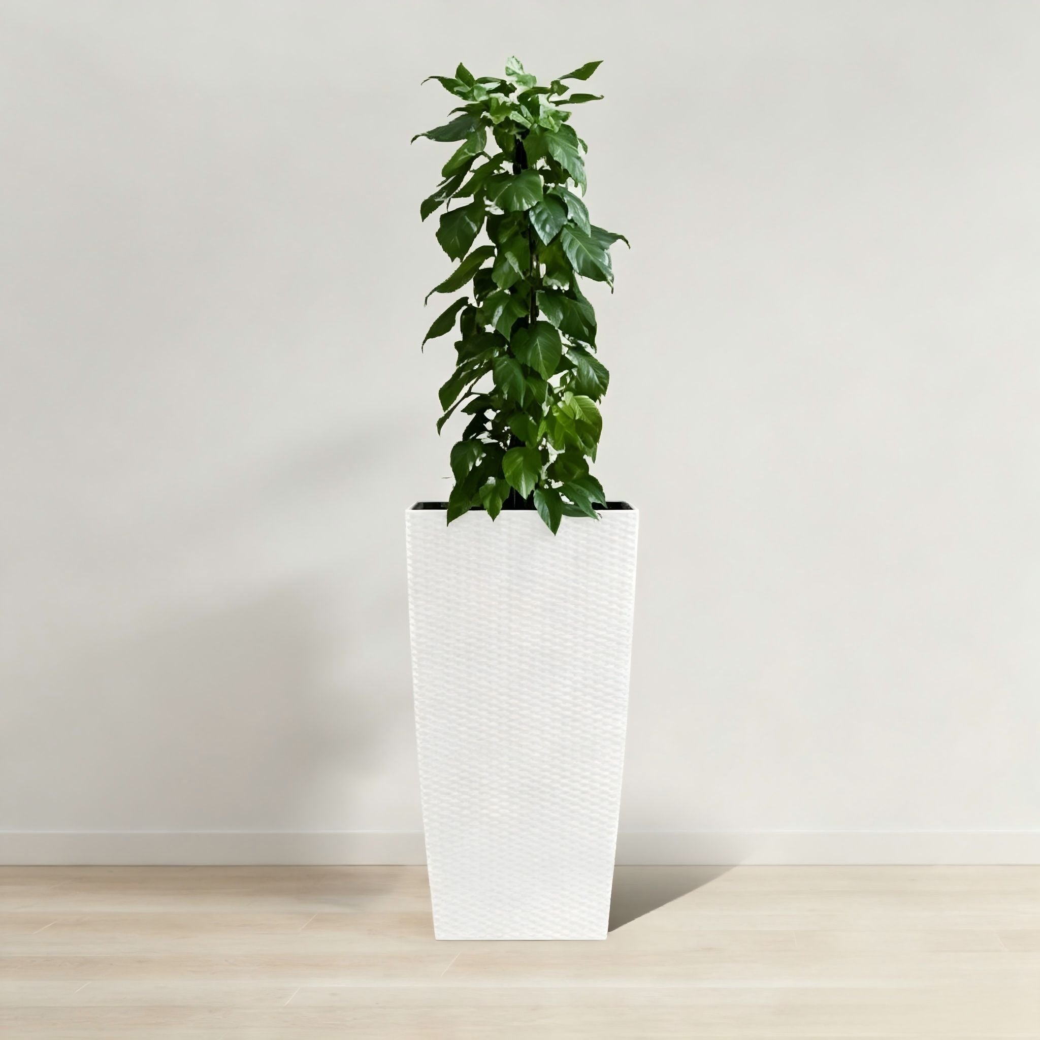 Indoor Outdoor Planter With Automatic Watering System