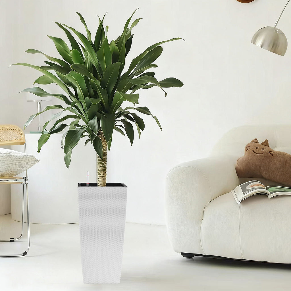 Indoor Outdoor Planter With Automatic Watering System