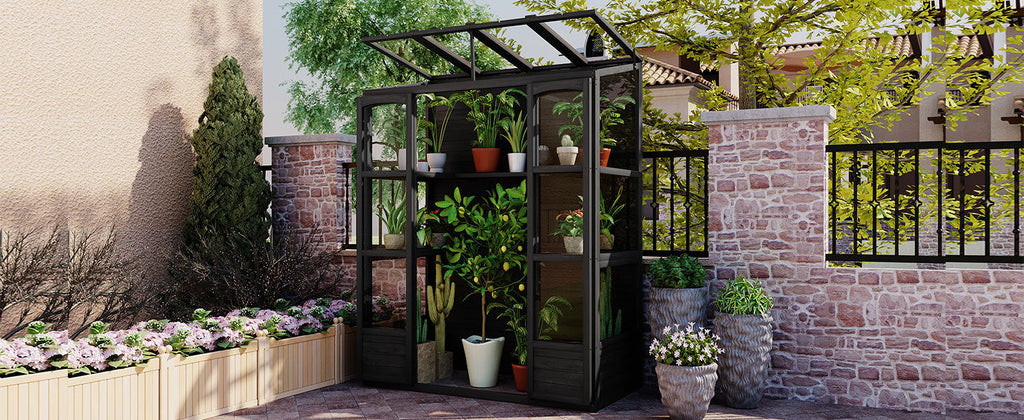 TOPMAX 78-inch Wooden Greenhouse Cold Frame with 4 Independent Skylights and 2 Folding Middle Shelves