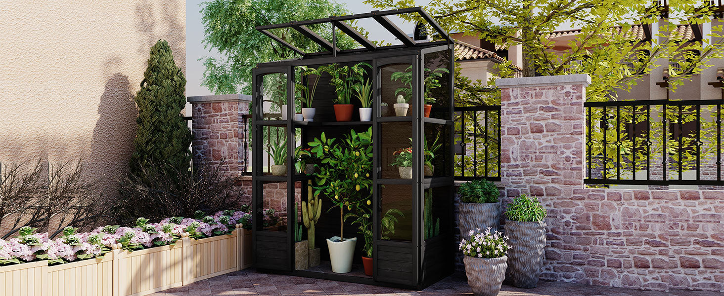 TOPMAX 78-inch Wooden Greenhouse Cold Frame with 4 Independent Skylights and 2 Folding Middle Shelves