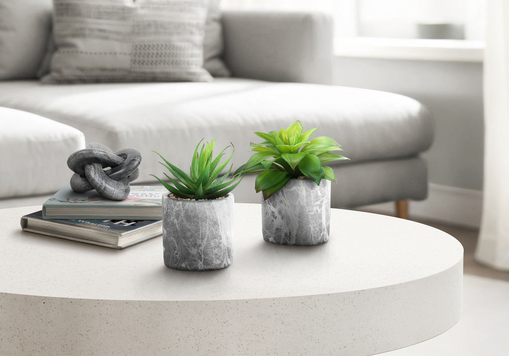 6" Tall Artificial Succulent Plants, Set of 2