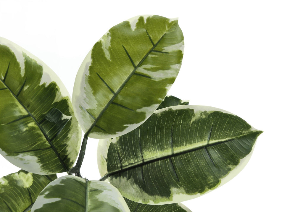 52" Tall Artificial Rubber Tree Indoor Plant