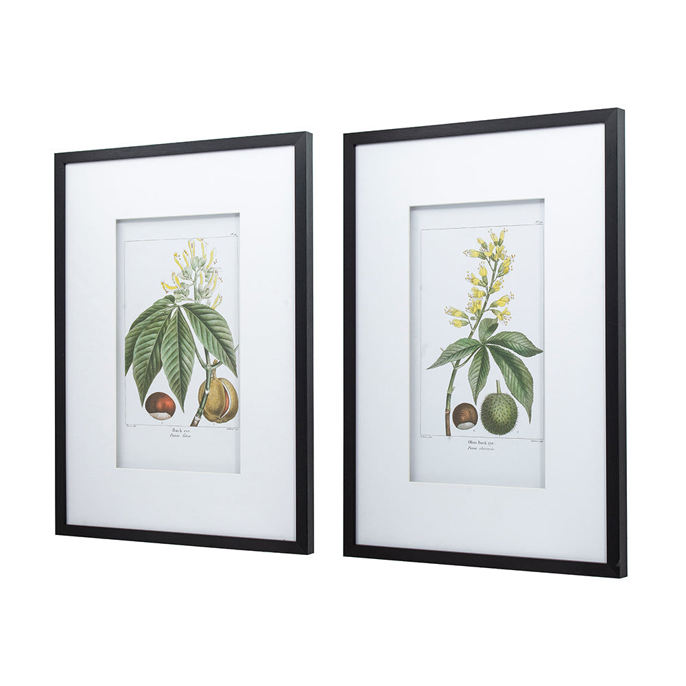 19.7x27.6 Botanical Wall Arts, Set of 2