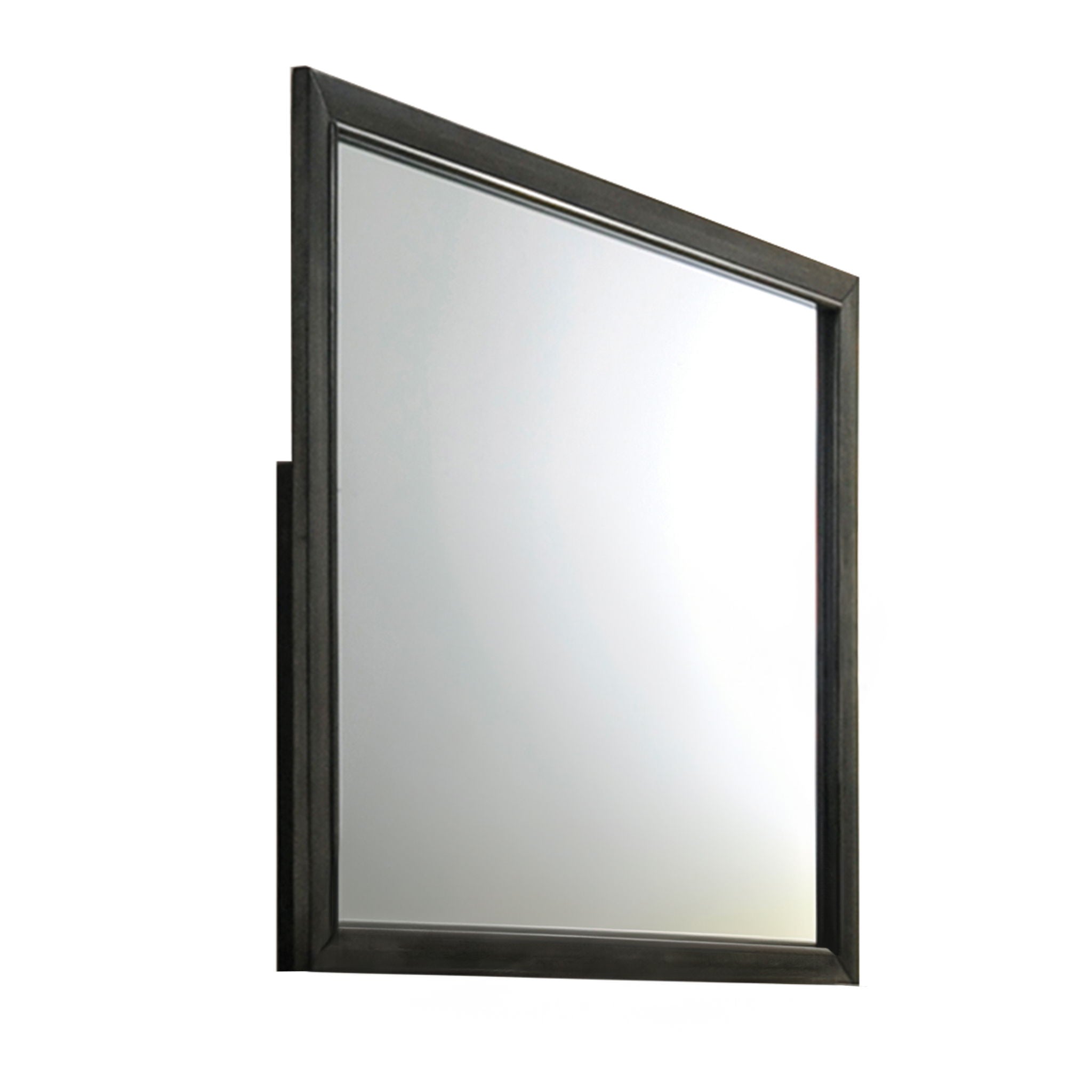 Carine Gray Mirror
