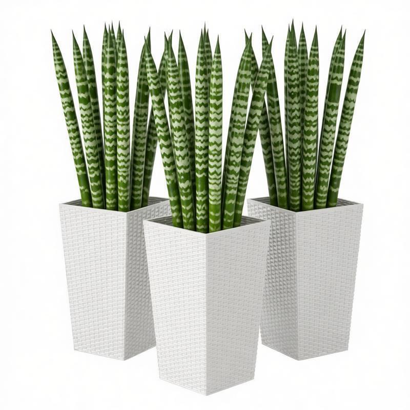 Spacious Plant Pots, Plants Box Set of 3, Tall Planters Box