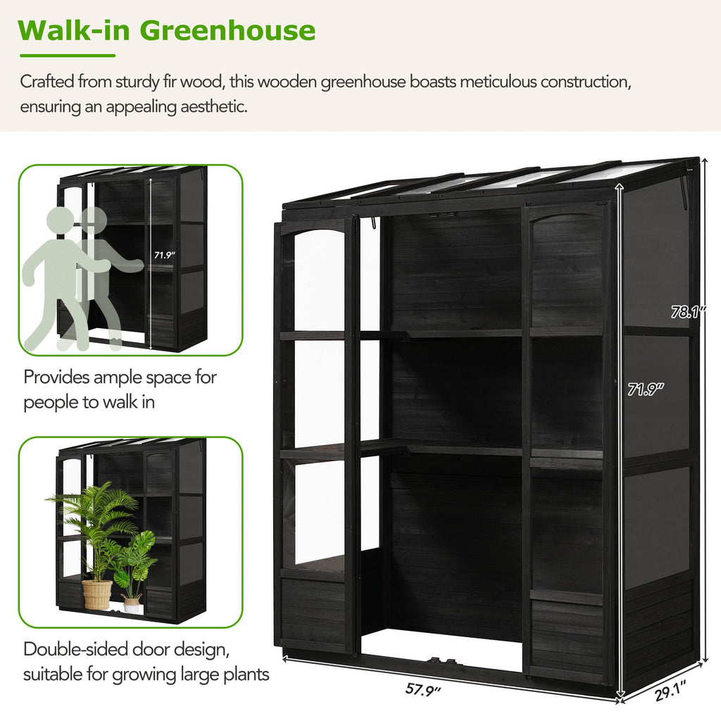 TOPMAX 78-inch Wooden Greenhouse Cold Frame with 4 Independent Skylights and 2 Folding Middle Shelves