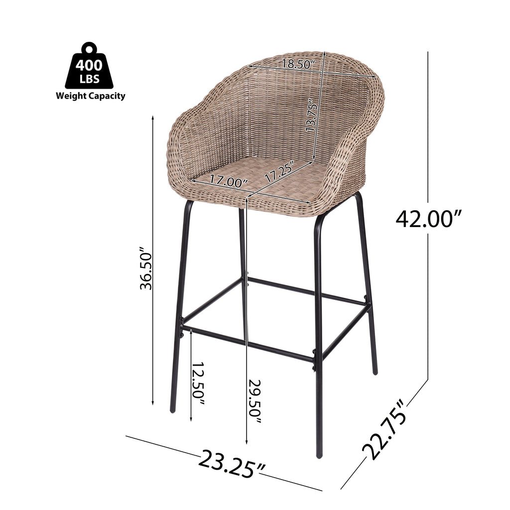 Ladd Outdoor Metal Wicker Barstool Set of 2