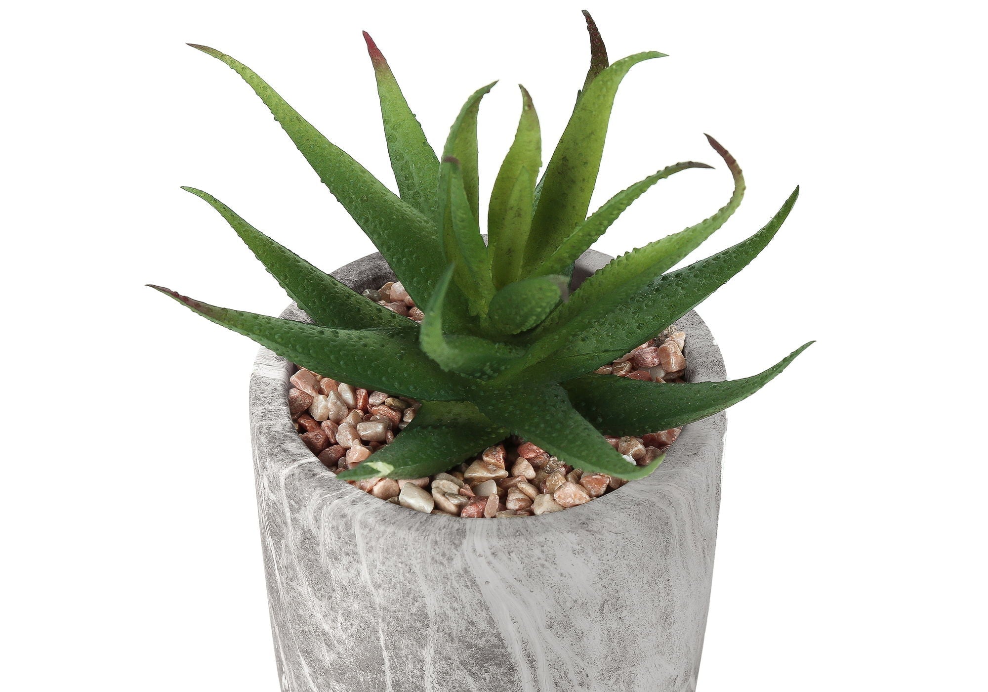 6" Tall Artificial Succulent Plants, Set of 2