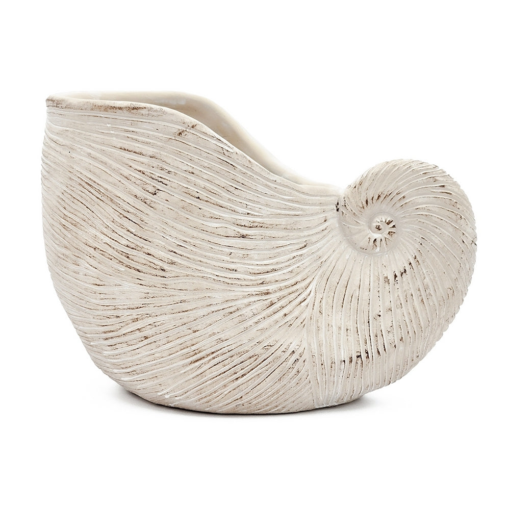 11.5x6.7x7.7" Sand and Cement Nautilus Shell Planter with Textured Beige Finish
