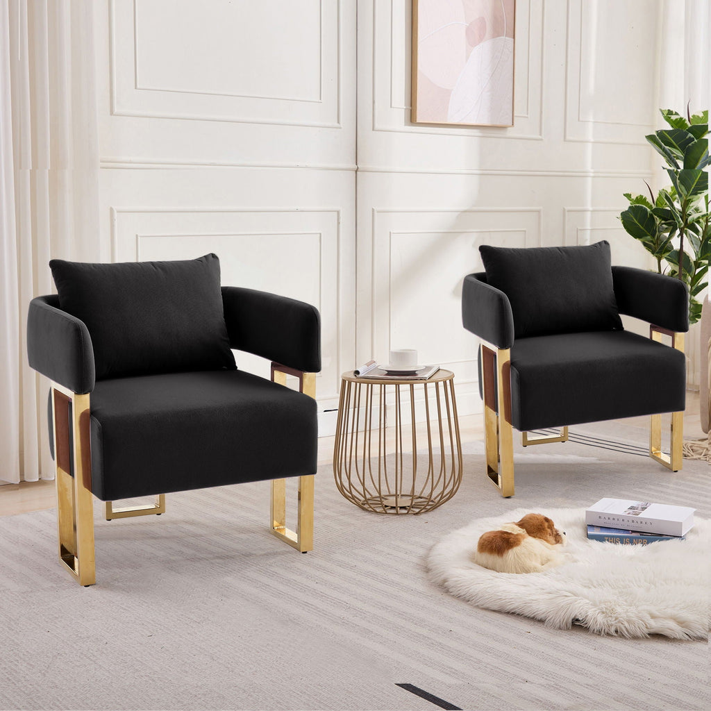 Modern Classic Decorative Chair with Teddy Fleece Upholstery
