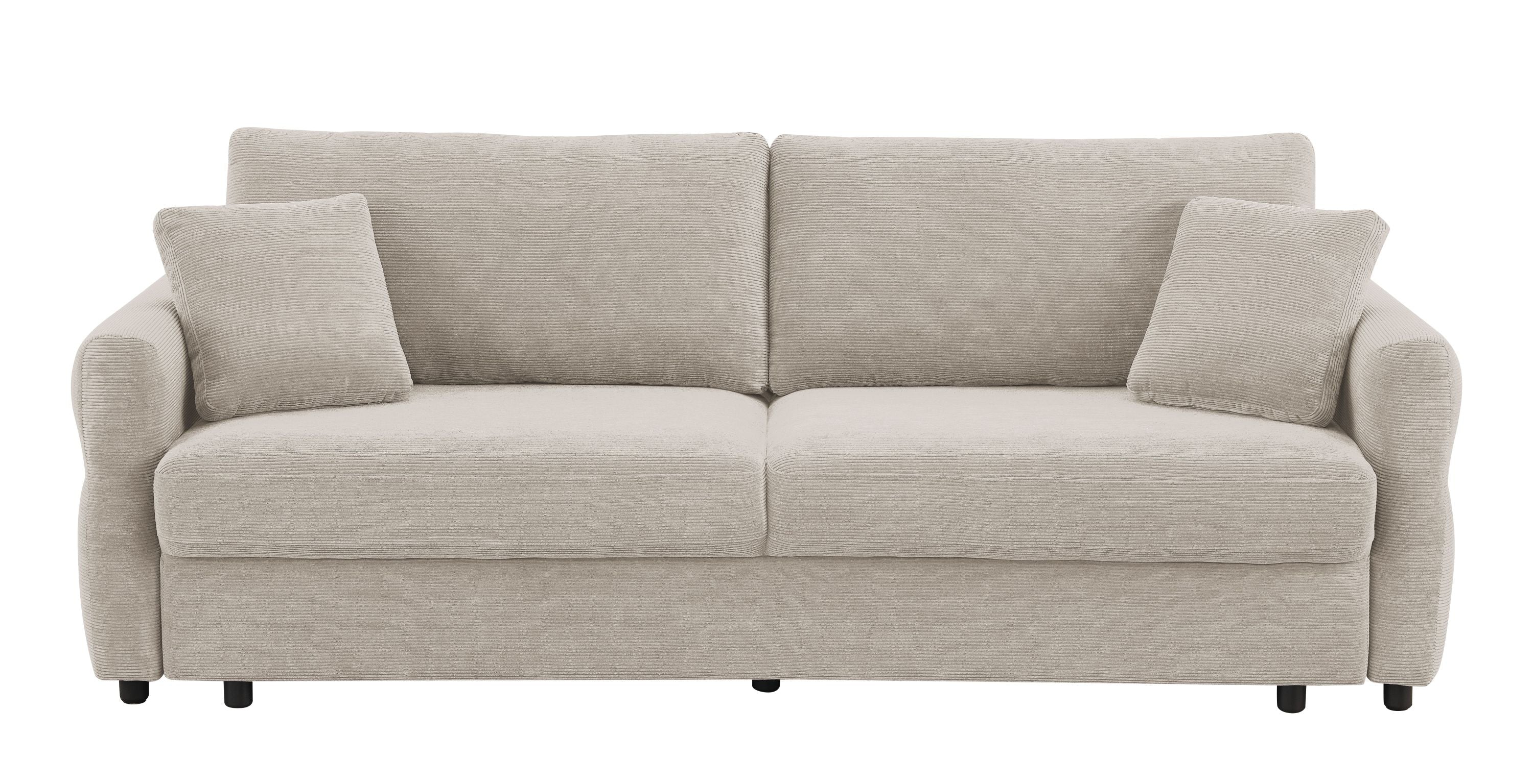 Haran Fabric Pull-Out Sleeper with Storage