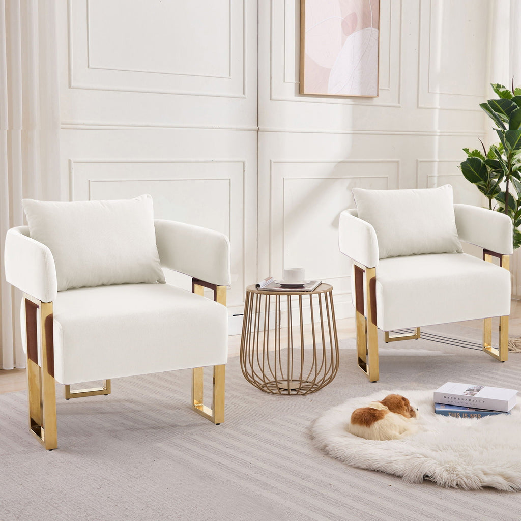 Modern Classic Decorative Chair with Teddy Fleece Upholstery