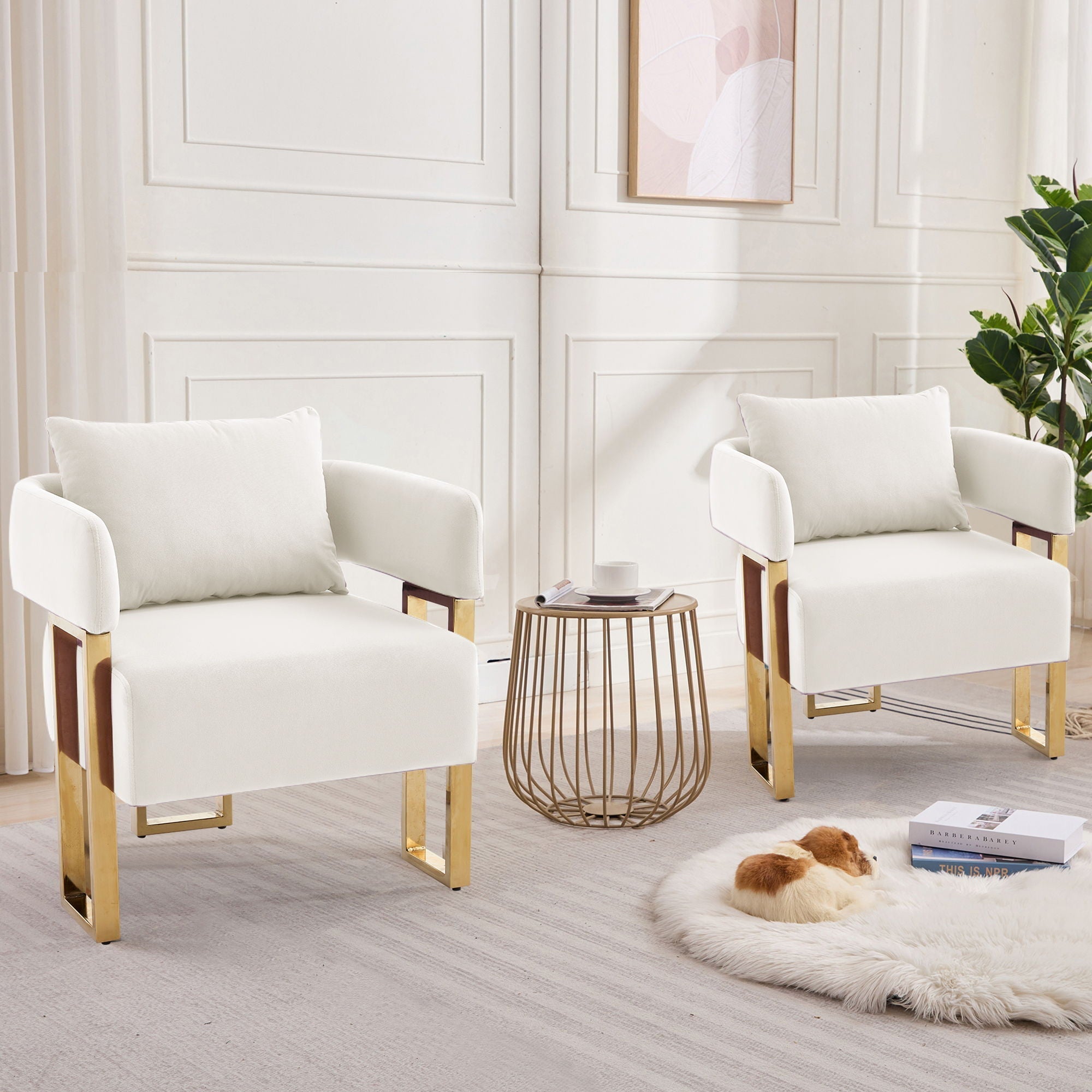 Modern Classic Decorative Chair with Teddy Fleece Upholstery
