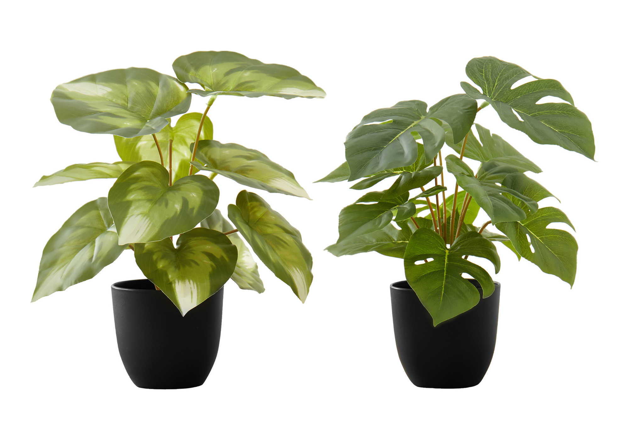 13" Tall Artificial Monstera and Calathea Plants, Set of 2
