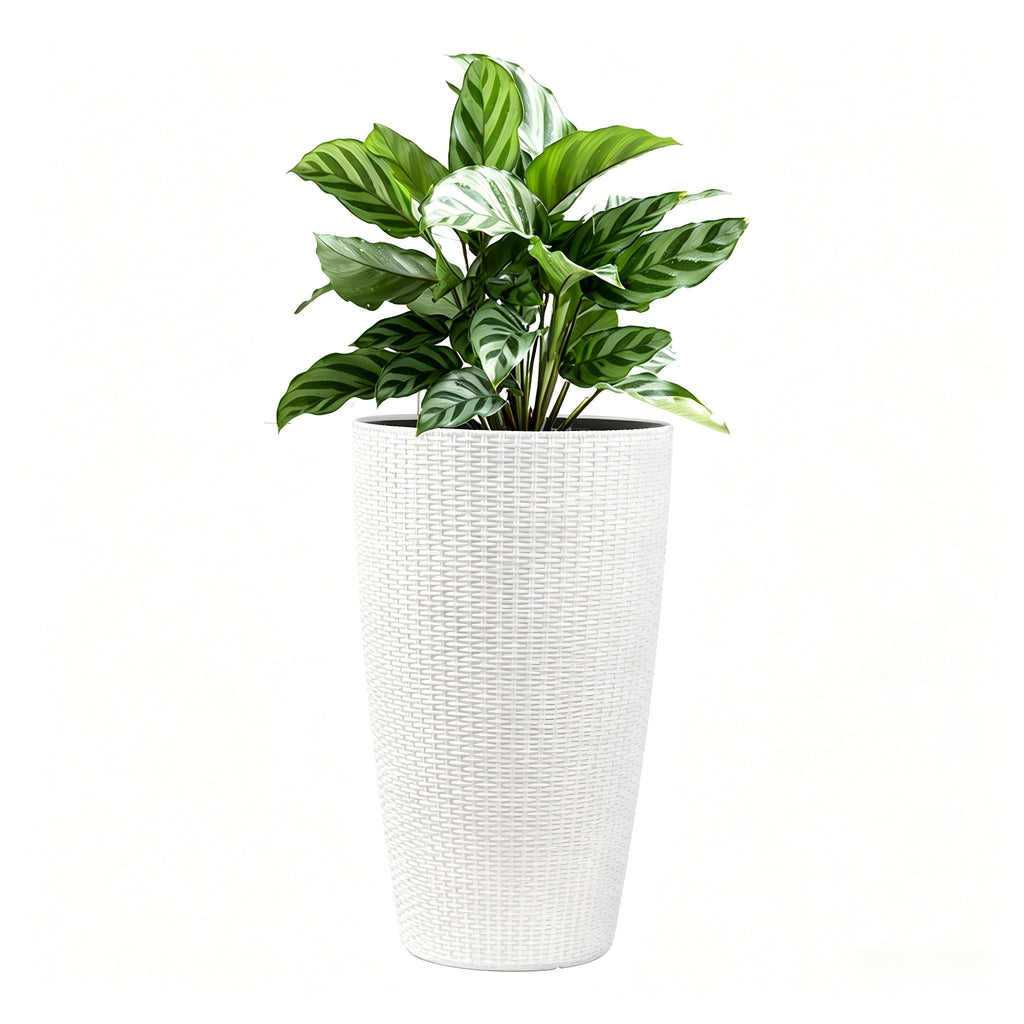 Tall Planters Set With Water Level Monitor And Auto Watering