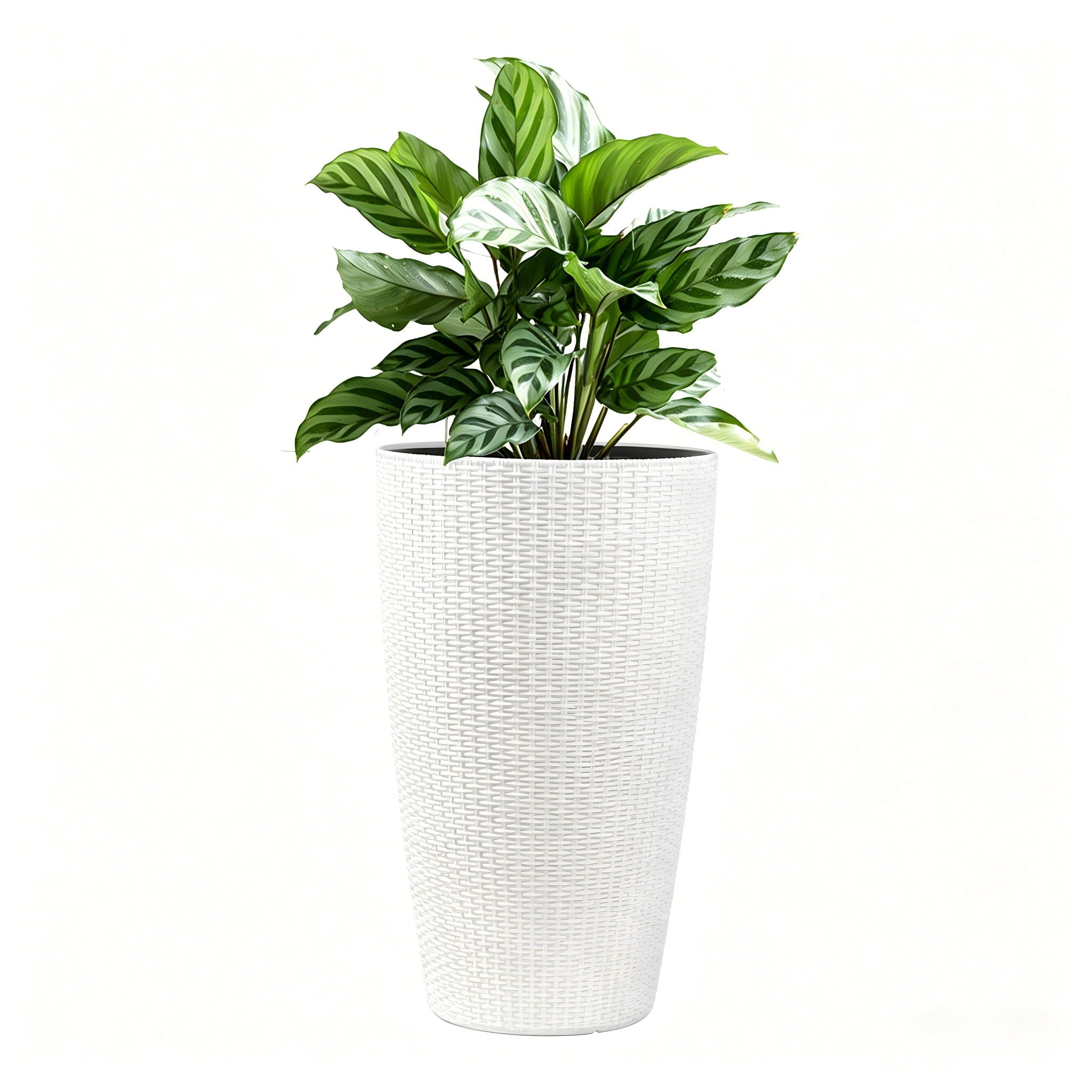 Tall Planters Set With Water Level Monitor And Auto Watering