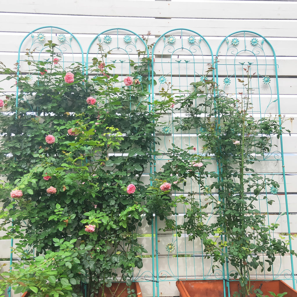 4 Pack Metal Garden Trellis 86.7'' x 19.7'' Rustproof Trellis for Climbing Plants