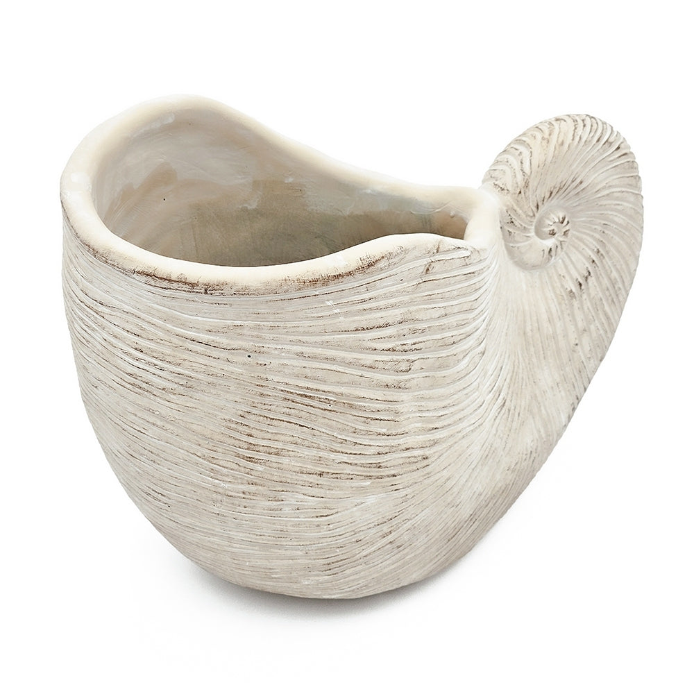 11.5x6.7x7.7" Sand and Cement Nautilus Shell Planter with Textured Beige Finish