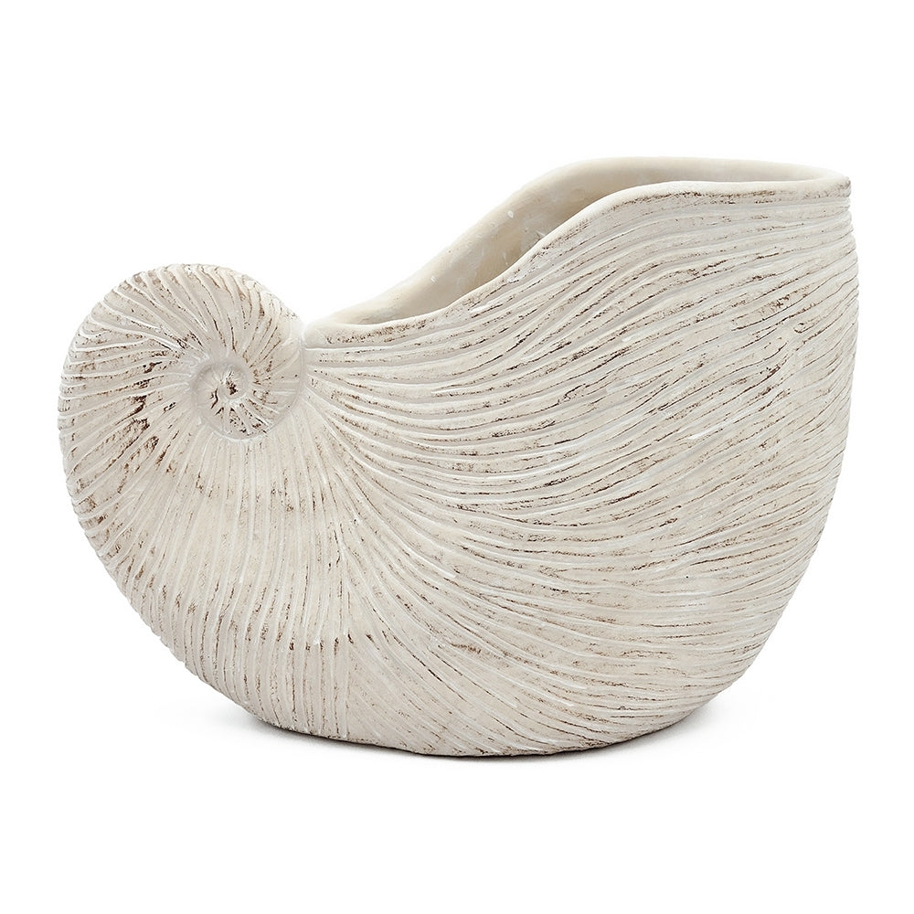 11.5x6.7x7.7" Sand and Cement Nautilus Shell Planter with Textured Beige Finish